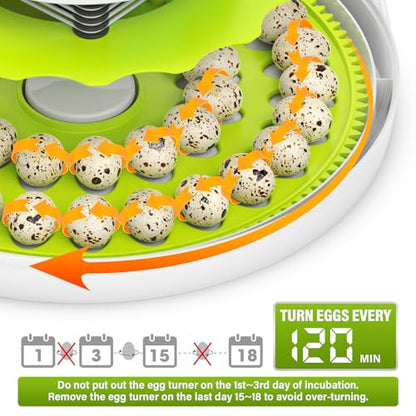 40 Quail Egg Incubator with Automatic Egg Turning Humidity Control Eggs - color: Green
