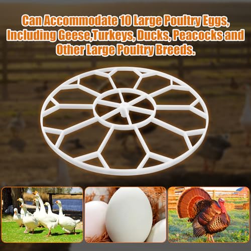 JGT360 Jumbo Goose Egg Incubator Tray for Nurture Right 360 Incubator