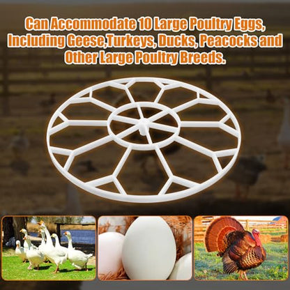 JGT360 Jumbo Goose Egg Incubator Tray for Nurture Right 360 Incubator