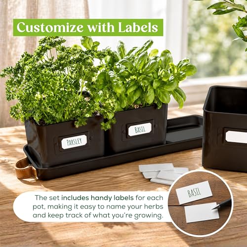 volila Herb Planter Indoor - Set of 3 Black Indoor Herb Garden Pots for Plants with Leather Handled Tray - Window Sill Plant Shelf - Herb Pots with Drainage Holes and Labels - color: Black