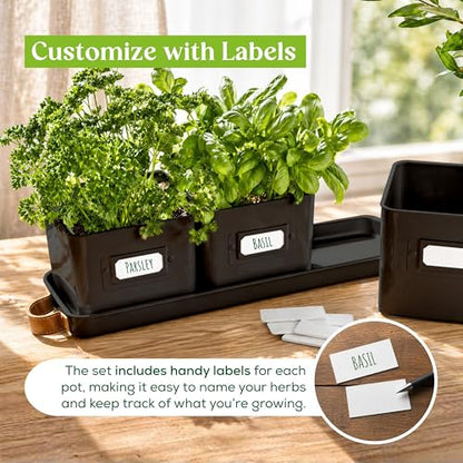 volila Herb Planter Indoor - Set of 3 Black Indoor Herb Garden Pots for Plants with Leather Handled Tray - Window Sill Plant Shelf - Herb Pots with Drainage Holes and Labels - color: Black