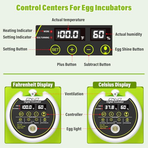 Quail Egg Incubator for Hatching 40 Quail Eggs with Automatic Turner - color: Green