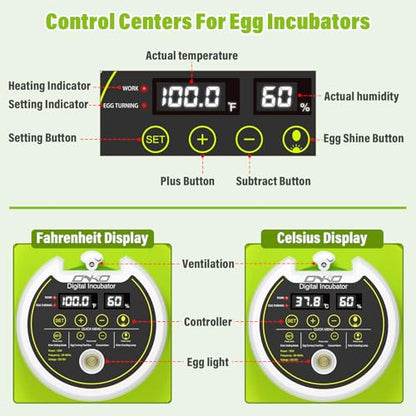 Quail Egg Incubator for Hatching 40 Quail Eggs with Automatic Turner - color: Green