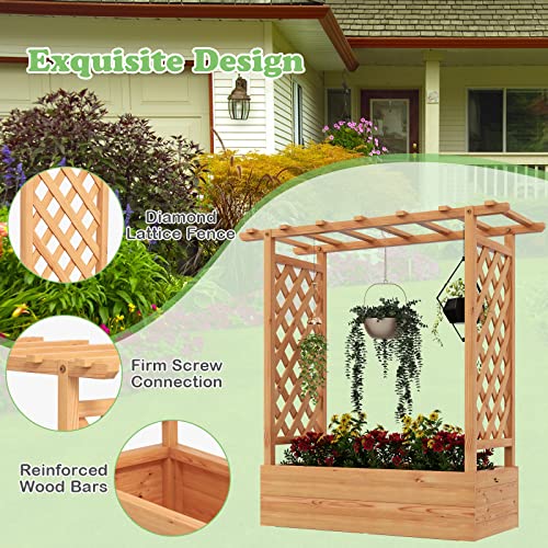 LDAILY Raised Garden Bed with Trellis, Above Ground Garden Bed with Hanging Roof, Side Trellis, & 4 Drainage Holes, Planter Box for Outdoor Climbing Plants Vines Flowers (1, 43.5"L x 17.5"W x 44.5"H) - size: 43.5" L x 17.5" W x 44.5" H