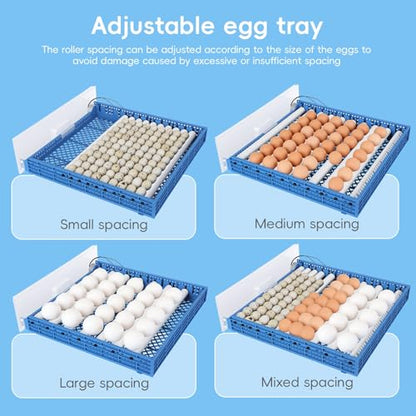 120 Egg Incubators for Hatching Eggs Large Automatic Poultry Hatcher Machine with Automatic Egg Turning Temperature Control Dual Power Supply Smart Digital Incubator for Chicken Duck Goose Quail Blue