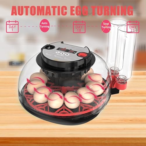 Incubators for Hatching Eggs Automatic Egg Incubator with Temperature Control Humidity Display 12 Egg Capacity for Chicken Duck Goose Eggs Digital Display Auto Turner 360° View - size: 24-quail eggs