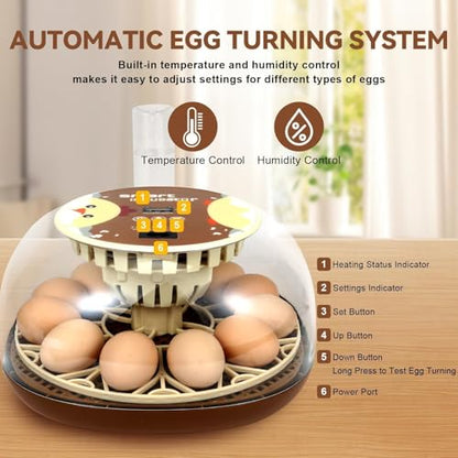 Series I-Automatic 12-Egg Incubator for Beginners, Auto Egg Turn, Steady Self-Regulating Humidity & Consistent Temperature Control for Hatching Chicken, Goose, Duck, Quail, Pigeon(12-Egg-Brown) - size: 12-Egg-Brown
