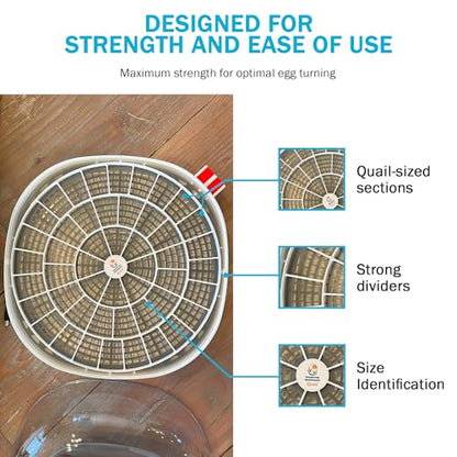 Durable Egg Tray for Nurture Right 360 Egg Incubator, 48 Quail/Bird Eggs - size: 12.3"L x 12.3"W x 0.7"H