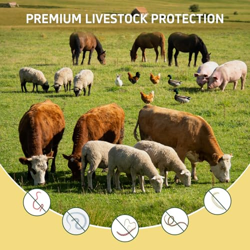 Dewormer for Beef, Dairy Cattle and Goats, Fenbendazole 10% Oral Suspension