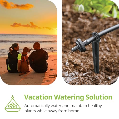 Raindrip R560DP Drip Watering System, Automatic Drip Irrigation System with Timer for Containers and Hanging Baskets, Waters up to 20 Plants, Includes 20 Drippers, Black - color: Timer, style: Container & Hanging Baskets