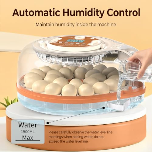 HOWOOlUA 26 Egg Incubator for Hatching Eggs withAuto Turn, Temp & Humidity Control, Built-in CandleLarge Capacity Egg Incubator for Chicken Duck Goose Eggs - size: 26-EGGS