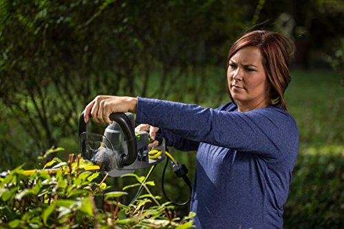 Earthwise CVP41810 2-in-1 Convertible Pole Hedge Trimmer - style: 4-in-1 Pole Hedge/Chainsaw