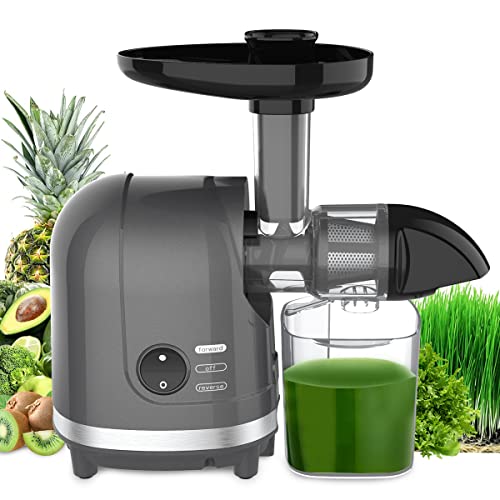 Masticating Juicer Machine 200W Slow Cold Press Extractor for Veggie/Fruit - color: Grey
