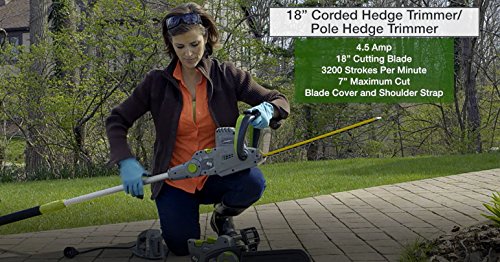 Earthwise CVP41810 2-in-1 Convertible Pole Hedge Trimmer - style: 4-in-1 Pole Hedge/Chainsaw