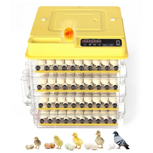 288 Egg Incubator for Hatching Eggs with Auto Turner, Temp Control, Candler - color: 288 Egg