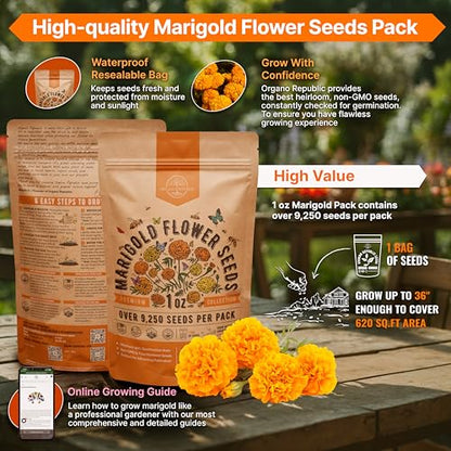 Marigold Seeds Pack 1 oz - Over 9,250 Non-GMO Heirloom Marigold Seeds for Planting Indoor & Outdoor Gardening, Flower Seed for Planting Home and Garden, Flowers Seed in Individual Packet