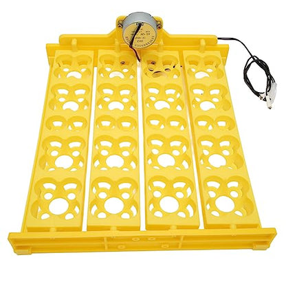 Automatic Egg Turner Tray - Multifunction Incubator Tray for 16 Duck Eggs, 72 Quail Eggs (AC12V) - size: AC12V