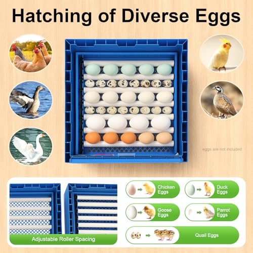 128 Eggs Incubator, Fully Automatic Egg Hatcher with LED Display & Automatic Egg Turning, Digital Poultry Hatcher for Chicken, Duck, Goose, Quail, Peacock Eggs (128) - size: 128