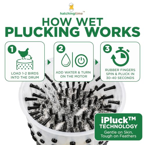 Hatching Time Portable Chicken Plucker Machine, 20" ABS Drum, 1-2 Chicken - size: 1–2 Chicken