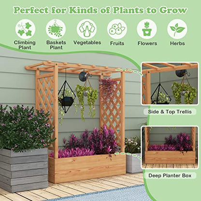 LDAILY Raised Garden Bed with Trellis, Above Ground Garden Bed with Hanging Roof, Side Trellis, & 4 Drainage Holes, Planter Box for Outdoor Climbing Plants Vines Flowers (1, 43.5"L x 17.5"W x 44.5"H) - size: 43.5" L x 17.5" W x 44.5" H
