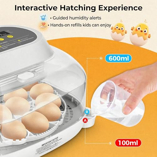 Sailnovo 24 Eggs Incubator, 4 Modes, Temp Control & Humidity Display, Grey - color: Grey, size: 24 Eggs