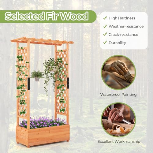 LDAILY Raised Garden Bed with Trellis, Above Ground Garden Bed with Hanging Roof, Side Trellis, & 4 Drainage Holes, Planter Box for Outdoor Climbing Plants Vines Flowers (1, 43.5"L x 17.5"W x 72"H) - size: 43.5" L x 17.5" W x 72" H