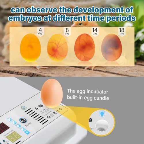 120 Egg incubators for Hatching Eggs with Automatic Turning & 5 Modes - color: 120 Egg White