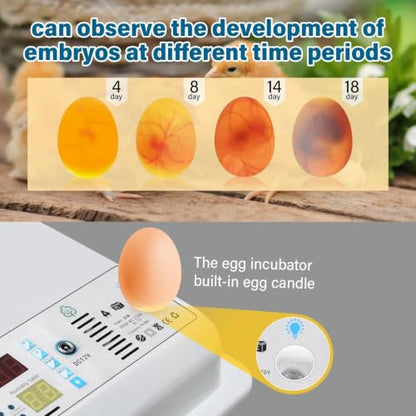 120 Egg incubators for Hatching Eggs with Automatic Turning & 5 Modes - color: 120 Egg White