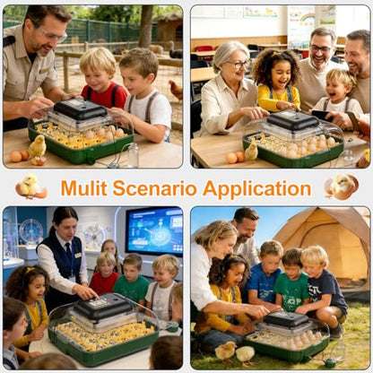125 Egg Incubator for Hatching Eggs with Automatic Egg Turning - size: M- 196 Quail Eggs