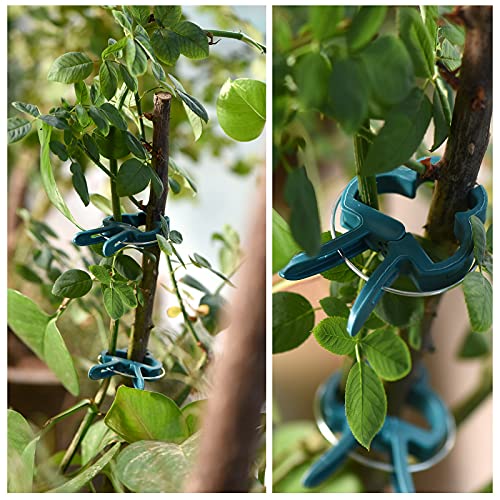 PERSZEN Plant Support Clips, 80 PCS Gentle Flower Plant Clamps for Supporting Vine Climbing Plants, Gardening Lever Loop Gripper Clips Help Stems Vines Grow Straight Upright, 2 Sizes in one Pack - size: 80