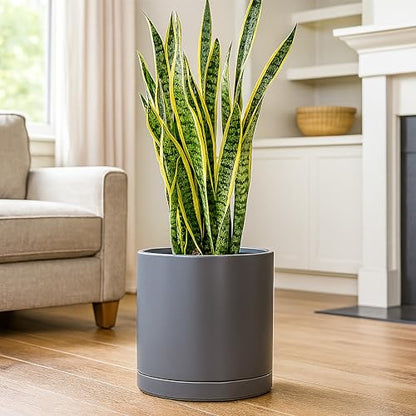D'vine Dev 12 Inch Ceramic Planter Pot, Grey, 94-O-F-3 - color: Gray, size: X-Large