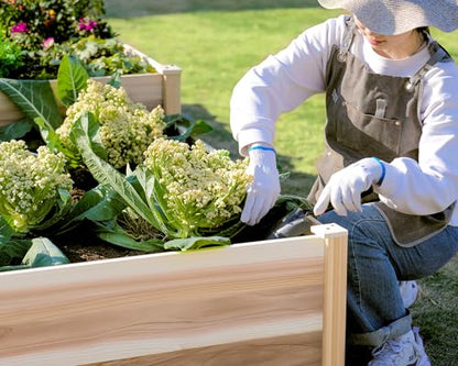AMERLIFE H-Shaped Raised Garden Bed, 12x12x2ft, Double-Layer Planter Box - size: 12 x 12 x 2 ft
