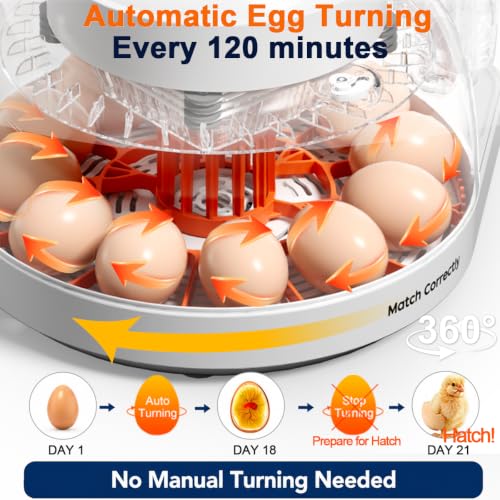 Upgraded Egg Incubator for Hatching Eggs, 12 Egg Capacity with Automatic Egg Turner, Temperature & Humidity Control, LED Egg Candler, Chick Incubator for Chicken, Duck & Quail Eggs