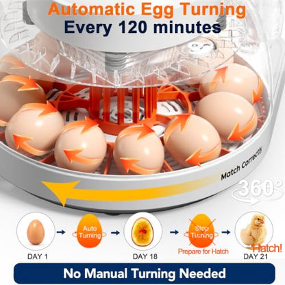 Upgraded Egg Incubator for Hatching Eggs, 12 Egg Capacity with Automatic Egg Turner, Temperature & Humidity Control, LED Egg Candler, Chick Incubator for Chicken, Duck & Quail Eggs