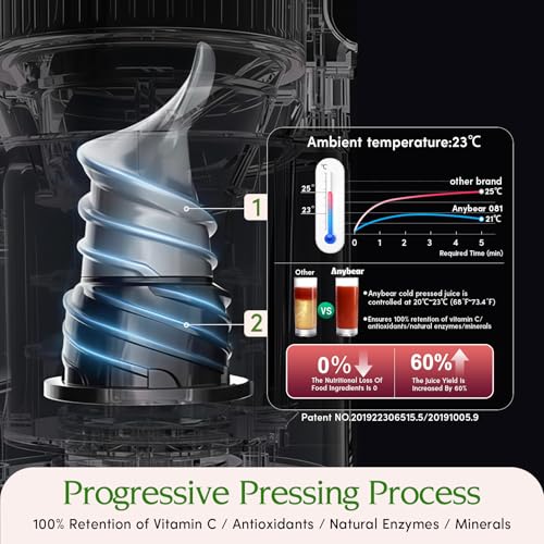 Anybear 350W Cold Press Juicer, Makes Juice & Sorbet & Nut Milk + Recipe