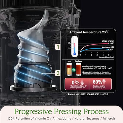 Anybear 350W Cold Press Juicer, Makes Juice & Sorbet & Nut Milk + Recipe