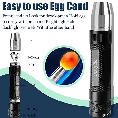 Egg Candler Light Rechargeable USB Eggs Candling Tester - color: Black