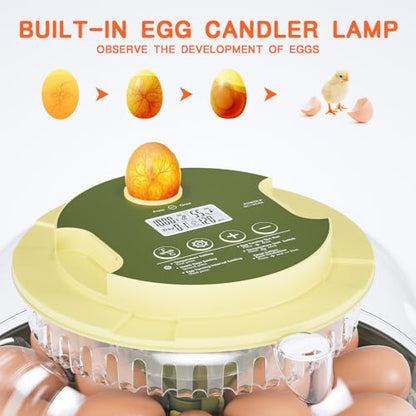 18 Egg Incubator, Incubator for Hatching Eggs, Automatic Egg Turning and Humidity Temperature Control, Egg Candler, Hatch Day, Automatic Water Refill, for Chicken, Ducks, Quail, Goose, Pigeon