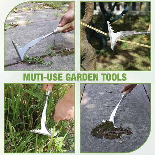 WORKPRO Crack Weeder, 13.5" Stainless Steel Weeding Tool, Wooden Handle