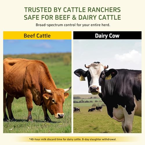 Dewormer for Beef, Dairy Cattle and Goats, Fenbendazole 10% Oral Suspension
