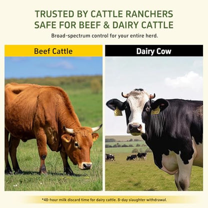 Dewormer for Beef, Dairy Cattle and Goats, Fenbendazole 10% Oral Suspension