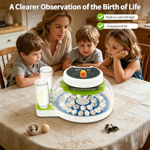 Quail Egg Incubator for Hatching 33 Quail Eggs with Automatic Turner & Humidity Control, Small Quails Brooder, Poultry Egg Incubator for Hatching Parrot Canarys Goose Pigeon in Home Farm - size: 33 Units