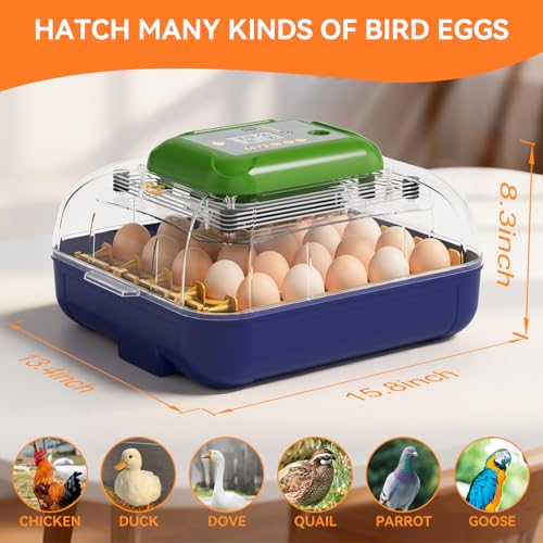 25 Egg Incubators for Hatching Eggs with Automatic Turner, Digital Temperature & Humidity Control, Built-in Egg Candler, External Water Refill, for Hatching Chicken, Duck,Goose, Home, School Use