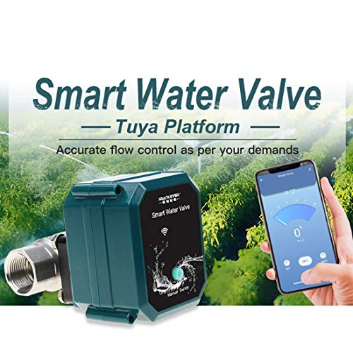 FRANKEVER DN20 Smart Water Valve WiFi Remote Control Faucet Timer 3/4" Hose - color: DN20