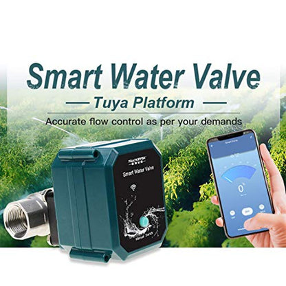 FRANKEVER DN20 Smart Water Valve WiFi Remote Control Faucet Timer 3/4" Hose - color: DN20
