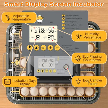 30 Egg Incubator for Hatching Eggs with Auto Egg Turning, High Precision Temperature & Humidity Display, Hatch Day, Egg Candler, Incubator for Hatching Chickens, Higher Hatch Rate