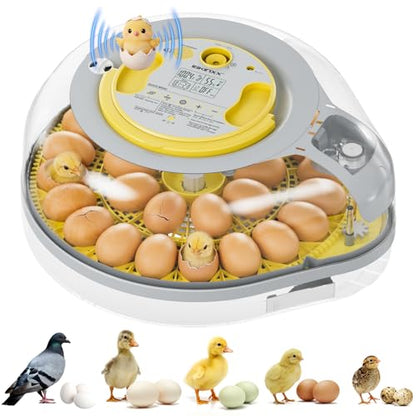 IBKINXX 26 Egg Incubator for Hatching Eggs - Smart Voice Guidance