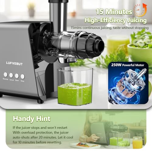 Masticating Juicer Machine 250W, Slow Cold Press High Yield with Grinder - color: Silver