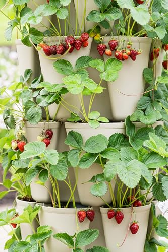 Greenstalk Patented Large 5 Tier Vertical Garden Planter with Patented Internal Watering System Great for Growing a Variety of Strawberries, Vegetables, Herbs, & Flowers (Stunning Stone) - color: Stunning Stone