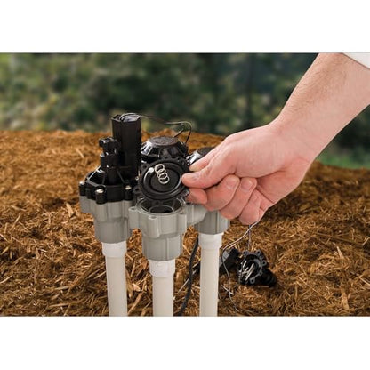 Rain Bird DASASVF075 Professional Anti-Siphon Valve, 3/4" - size: 0.75 Inch